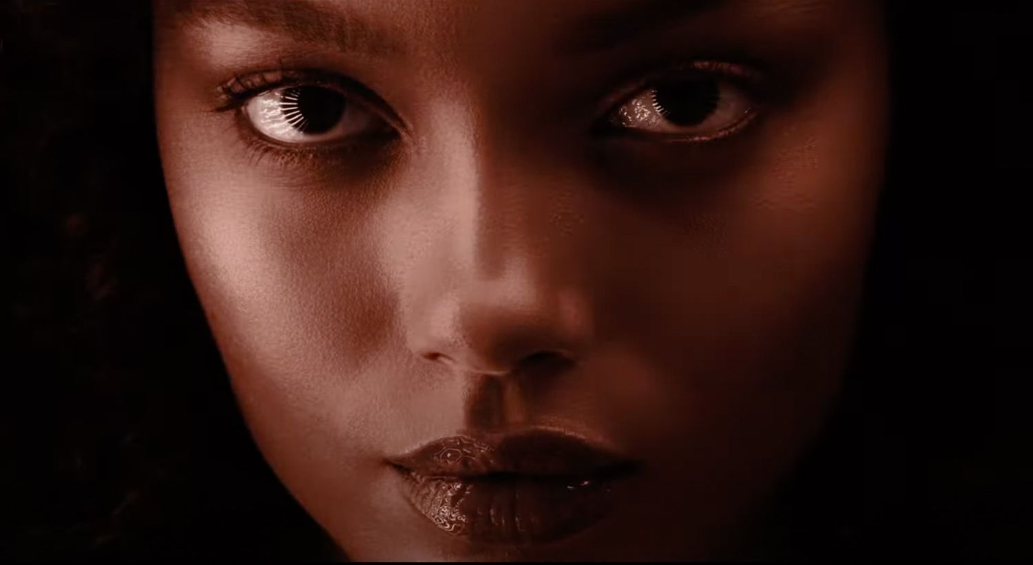 Craminal Chanel coco mademoiselle